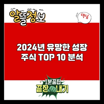 2024년 유망한 성장 주식 TOP 10 분석