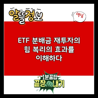 ETF 분배금 재투자의 힘: 복리의 효과를 이해하다