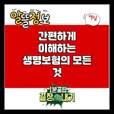 간편하게 이해하는 생명보험의 모든 것