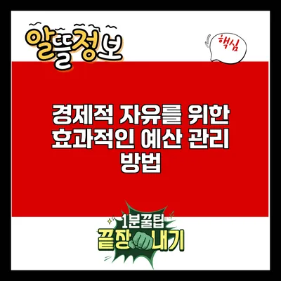 경제적 자유를 위한 효과적인 예산 관리 방법