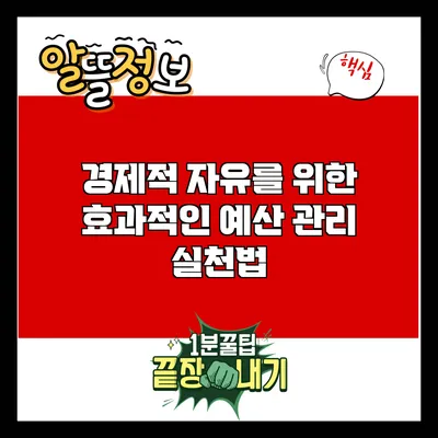 경제적 자유를 위한 효과적인 예산 관리 실천법