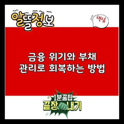 금융 위기와 부채 관리로 회복하는 방법