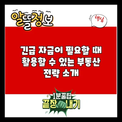 긴급 자금이 필요할 때 활용할 수 있는 부동산 전략 소개