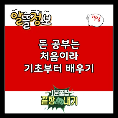 돈 공부는 처음이라: 기초부터 배우기