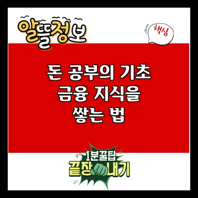 돈 공부의 기초: 금융 지식을 쌓는 법