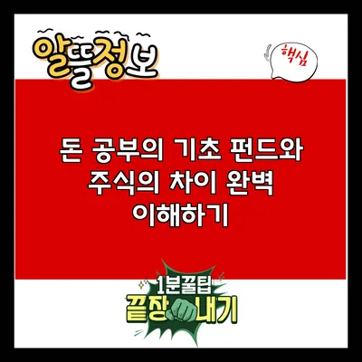 돈 공부의 기초: 펀드와 주식의 차이 완벽 이해하기