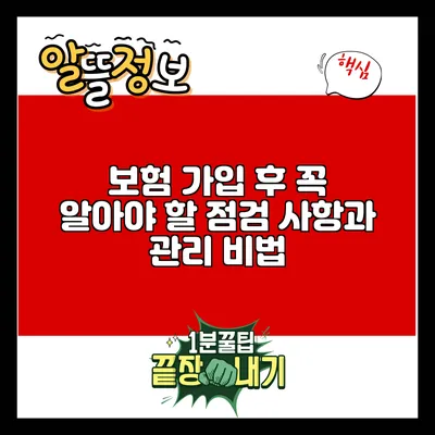 보험 가입 후 꼭 알아야 할 점검 사항과 관리 비법