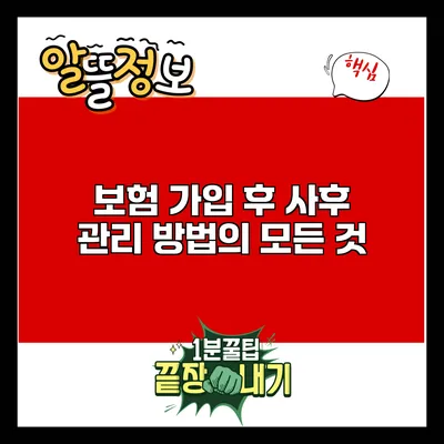 보험 가입 후 사후 관리 방법의 모든 것