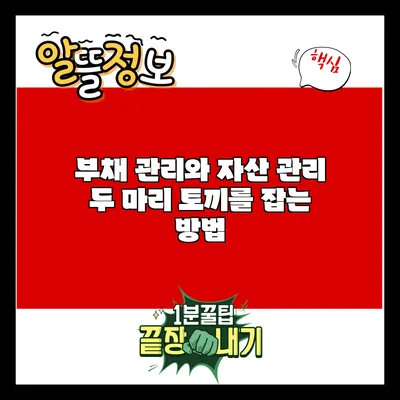 부채 관리와 자산 관리: 두 마리 토끼를 잡는 방법