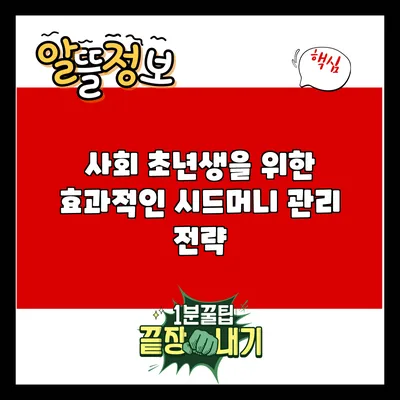 사회 초년생을 위한 효과적인 시드머니 관리 전략