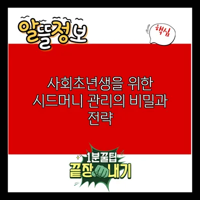 사회초년생을 위한 시드머니 관리의 비밀과 전략
