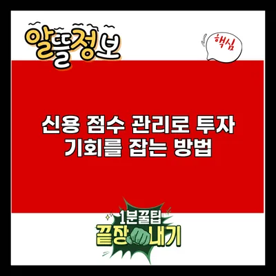 신용 점수 관리로 투자 기회를 잡는 방법