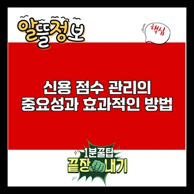 신용 점수 관리의 중요성과 효과적인 방법