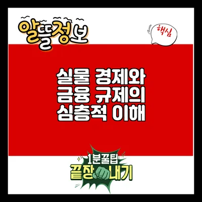 실물 경제와 금융 규제의 심층적 이해