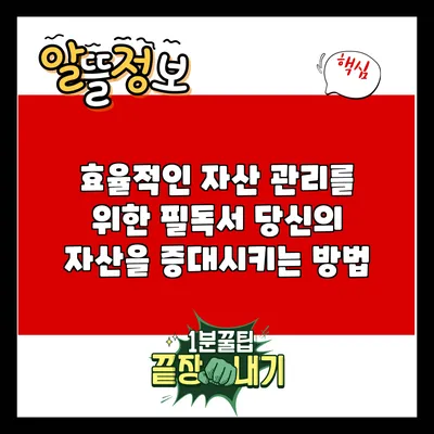 효율적인 자산 관리를 위한 필독서: 당신의 자산을 증대시키는 방법