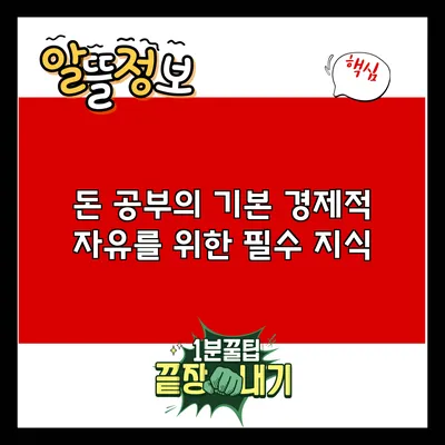 돈 공부의 기본: 경제적 자유를 위한 필수 지식