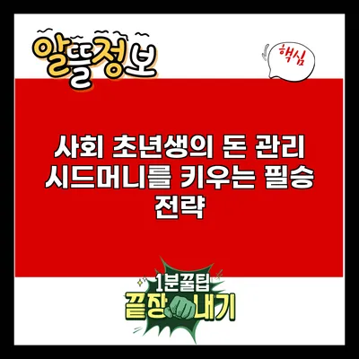 사회 초년생의 돈 관리: 시드머니를 키우는 필승 전략