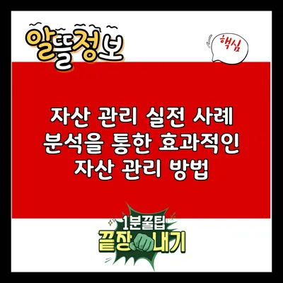 자산 관리 실전: 사례 분석을 통한 효과적인 자산 관리 방법