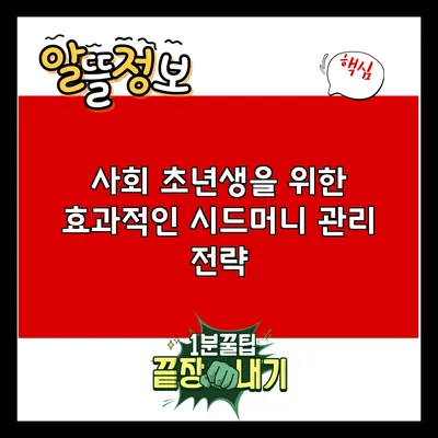 사회 초년생을 위한 효과적인 시드머니 관리 전략